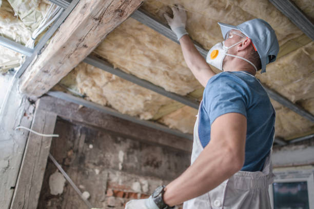 Best Energy Efficiency Insulation in Johnston, IA
