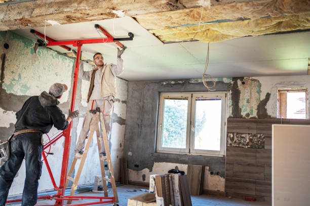 Best Specialized Insulation Services in Johnston, IA