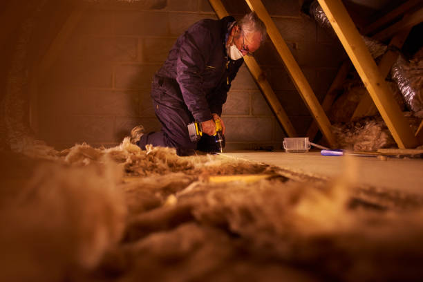 Best DIY Insulation Kits and Guidance in Johnston, IA